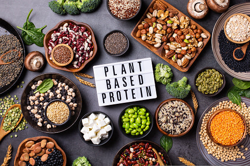 12 Best Vegan Protein Sources For Everyday Nutrition