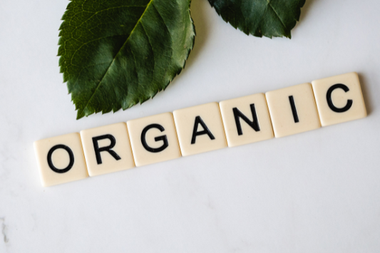 Here Is Why You Should opt for Organic Foods and Products